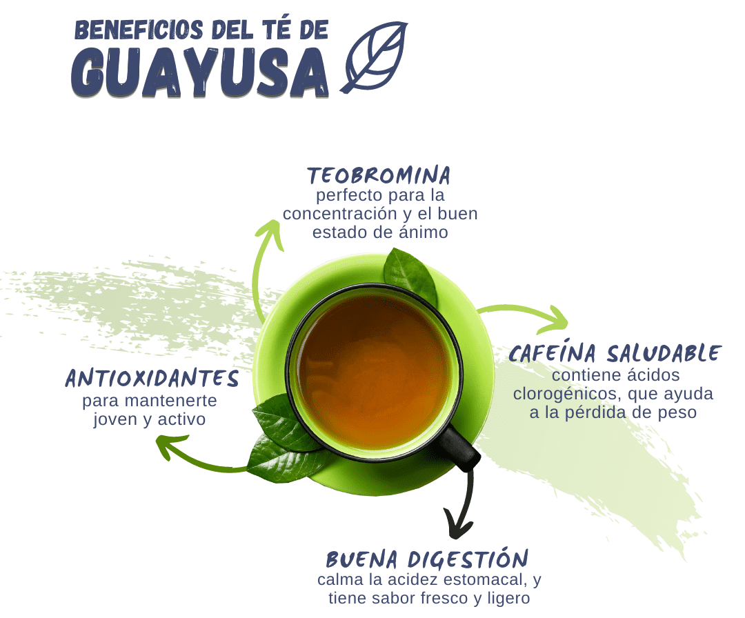 Beneficios de la Guayusa